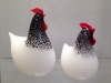 gallina