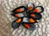 cozze