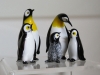 pinguino