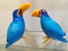 tucano incamiciato