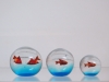 sfera con pesce